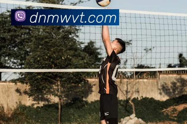 开云手机入口官方网站品牌故事